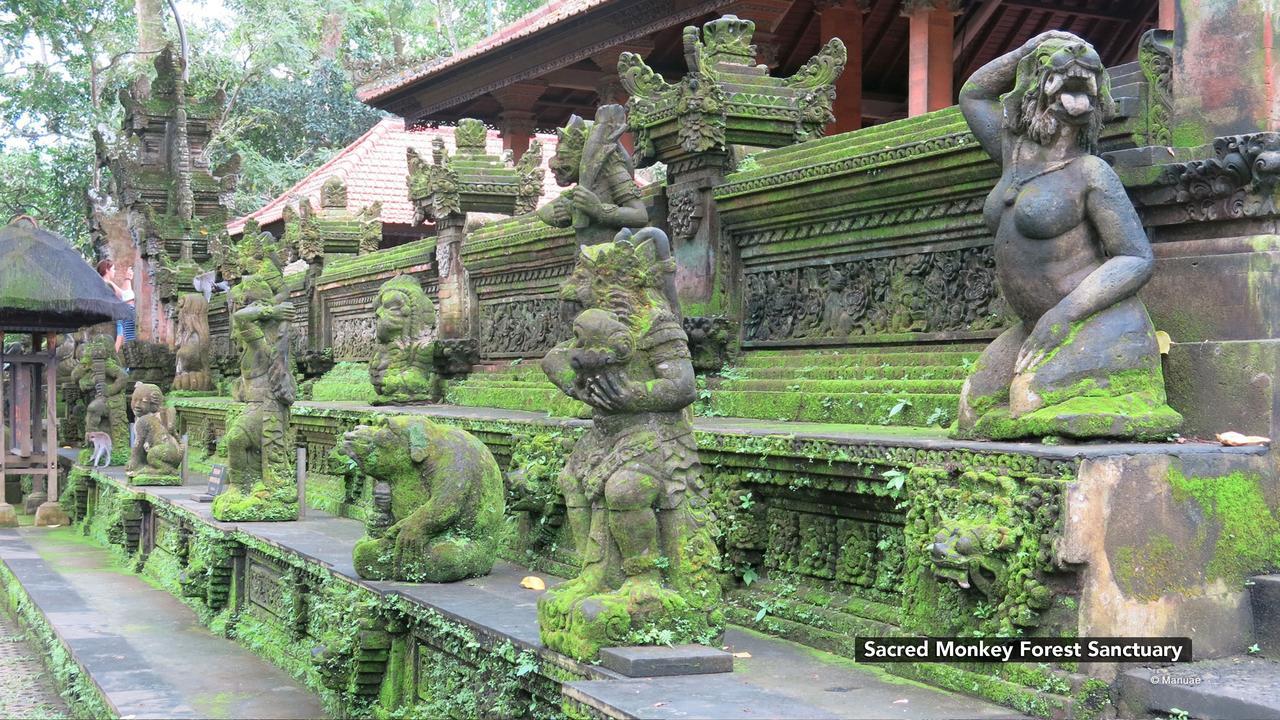 Zen Premium Nyuh Bojog Ubud Buitenkant foto
