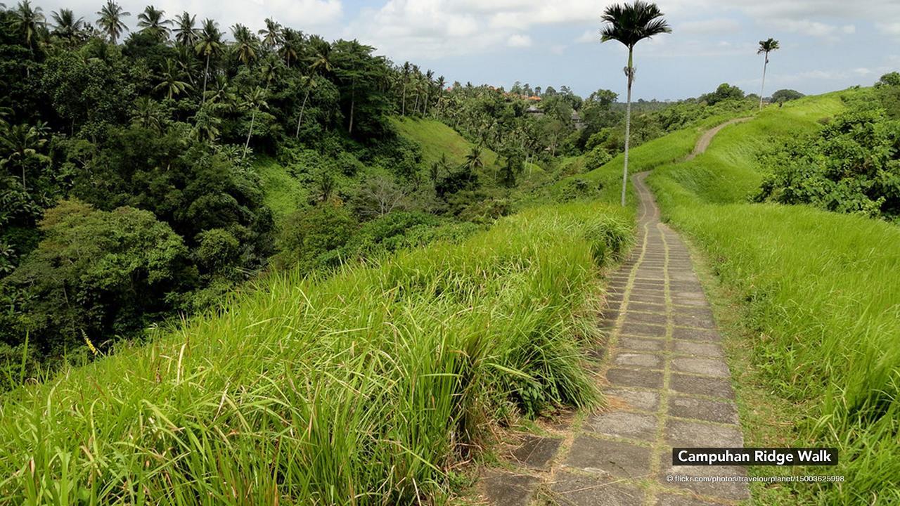 Zen Premium Nyuh Bojog Ubud Buitenkant foto
